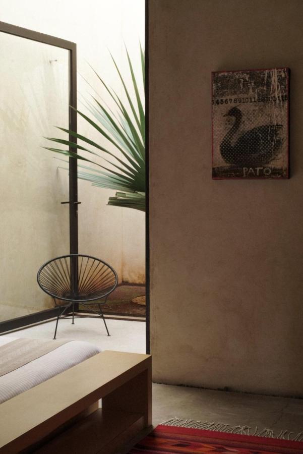 Hotel Casa Carmen Reforma à Oaxaca Extérieur photo