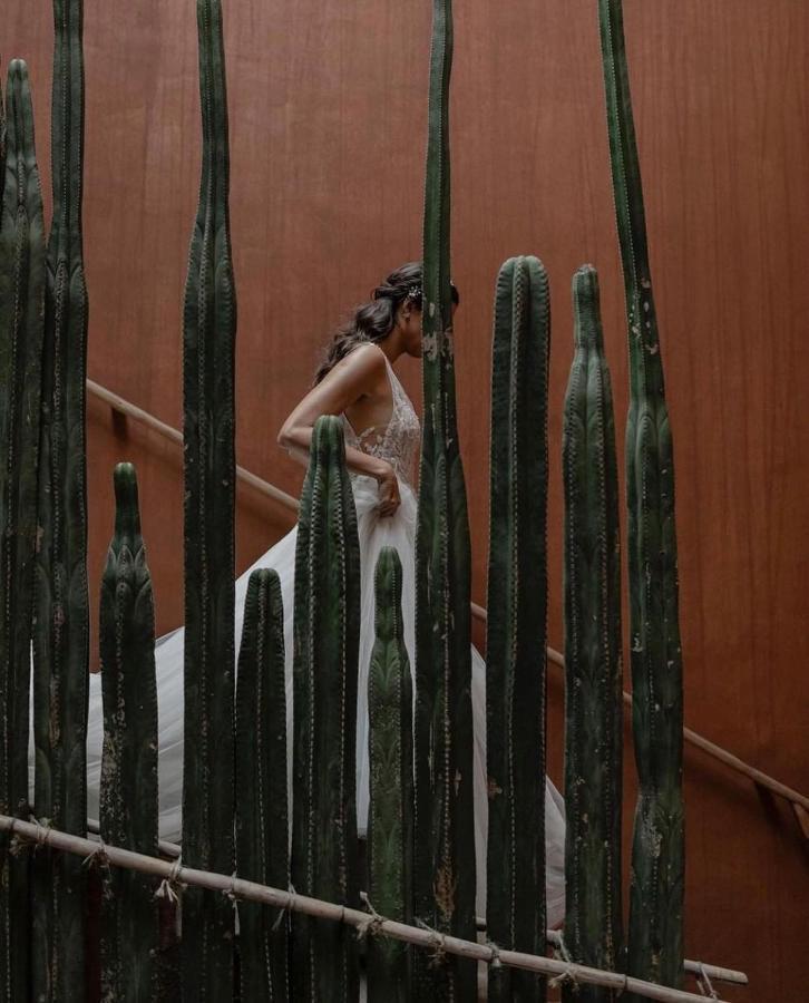 Hotel Casa Carmen Reforma à Oaxaca Extérieur photo