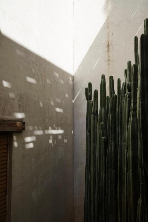Hotel Casa Carmen Reforma à Oaxaca Extérieur photo