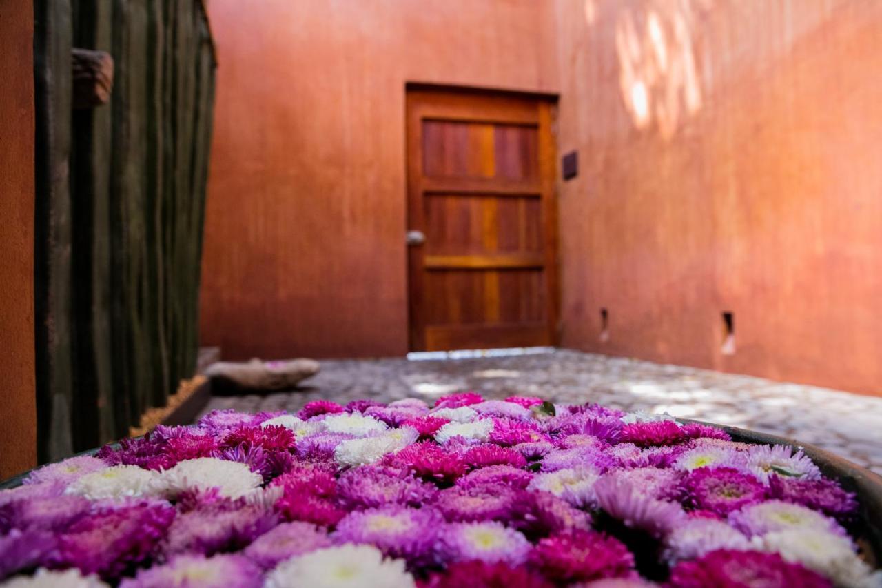 Hotel Casa Carmen Reforma à Oaxaca Extérieur photo